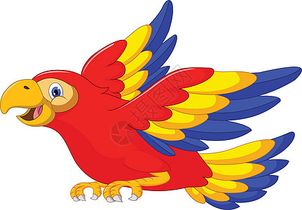 Macaw 鸟儿卡通漫画飞行剪裁动物群吉祥物横幅圆圈生物情调翅膀乐趣野生动物图片