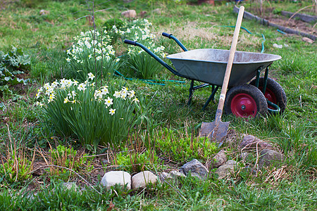铲子和花园场地上的推车衬套农场公园叶子园艺独轮车男人草地季节职业图片