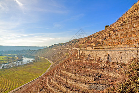 葡萄园视图农业太阳旅行栽培日落旅游植物草地酒厂天空图片