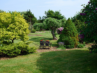 具有吸引力的英式英语风格正规花园闲暇生长植物学植物季节衬套叶子场景美化植物群图片