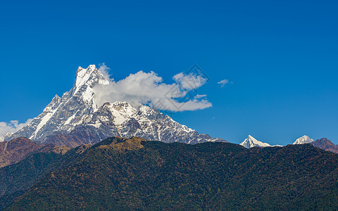 尼泊尔的鱼尾旅行旅游高度风景冰川蓝色首脑天空顶峰图片