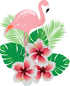 带鲜花的火烈酒火烈鸟印迹植物红色野生动物丛林横幅绿色粉色叶子图片