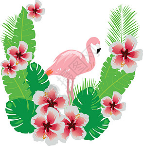 带鲜花的火烈酒森林植物粉色横幅热带火烈鸟印迹绿色野生动物丛林图片