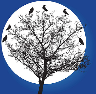 树框架红色羽毛乌鸦黑色飞行翅膀月亮团体插图图片