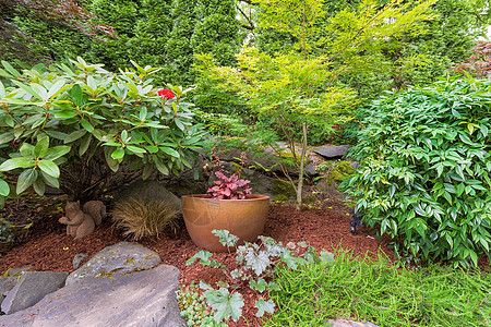 后院花园园林与金盆景观美化图片