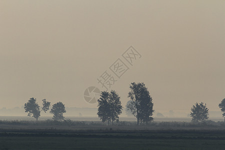 湖附近的雾场地叶子天气旅行国家风景植物薄雾森林场景图片