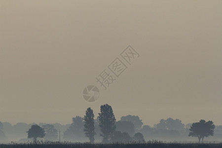 湖附近的雾天气阳光墙纸日落风景蓝色树木森林太阳场地图片