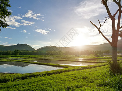 春田日落 山与天空的自然美植物国家草本植物蓝色木头牧场射线太阳场景草地图片