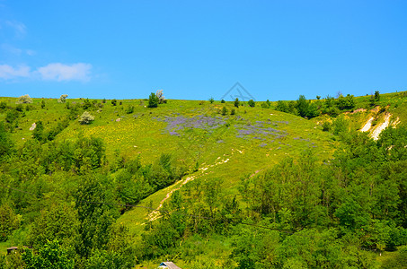 带黄色和紫紫花的山地景观旅游公园晴天植物环境旅行丘陵森林日落蓝色图片