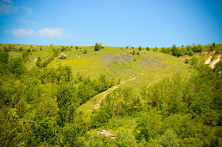 带黄色和紫紫花的山地景观植物紫色丘陵公园牧场场景季节日落国家山脉图片