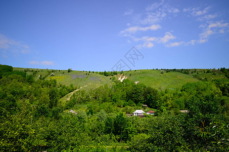 带黄色和紫紫花的山地景观旅游旅行爬坡蓝色草地土地植物太阳场景高山图片