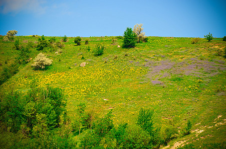 带黄色和紫紫花的山地景观太阳紫色旅游森林蓝色爬坡国家高山场景天空图片