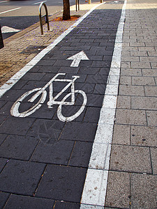 城市自行车自行车道图片