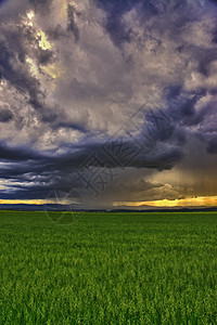 戏剧性场景  有云雨的草地天空危险环境场地波浪雷雨地形天气风景闪电图片