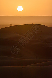 沙丘 摩洛哥 撒哈拉沙漠的日落骆驼情调牧羊人动物异国荒野夫妻旅行天空晴天图片