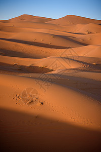 Dunes 摩洛哥 撒哈拉沙漠太阳哺乳动物天空旅游牧羊人晴天沙丘运输夫妻情调图片