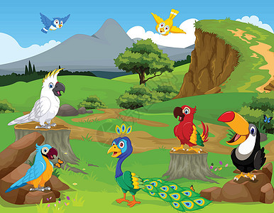 有趣的不同种类的鸟儿漫画 在丛林中与风景背景图片