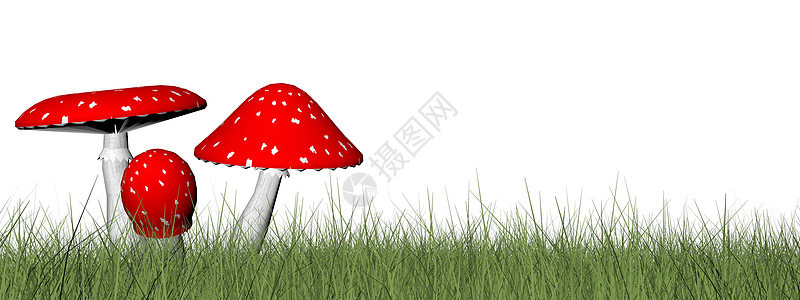 红蘑菇  3D仁德季节绿色植物食物白色红色插图菌类毒菌图片