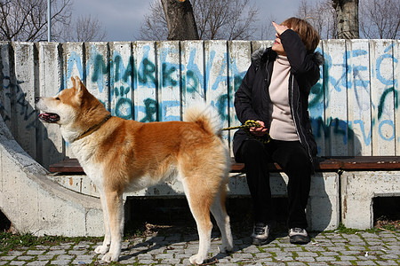 夫人和她的狗肌肉宠物动物享受涂鸦监护人小狗女士忠诚精力背景图片