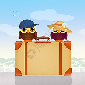 手提箱上的旅行猫头鹰动物卡通片插画帽子夫妻旅游行李鸟类明信片图片
