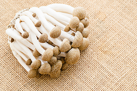 乳蘑菇是棕色的品种木头镶嵌营养美味菌类美食解雇大理石蔬菜孢子图片
