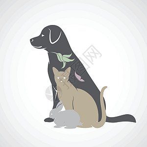 向量组的宠物狗 猫 鸟 蝴蝶 兔子 隔离物收藏鹦鹉绘画友谊猎犬卡通片插图朋友兽医艺术背景图片