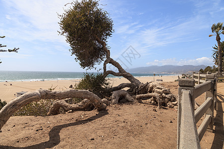 沿圣莫尼卡海岸线地标游客景观海岸沿海汽车海洋海景城市悬崖图片