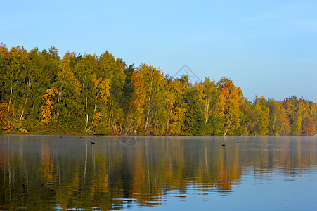 长着树木反射的宁静湖图片