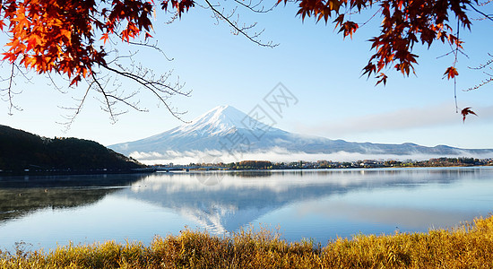 富士山 日本有秋色红叶树叶季节性季节樱花火山地标光洋图片