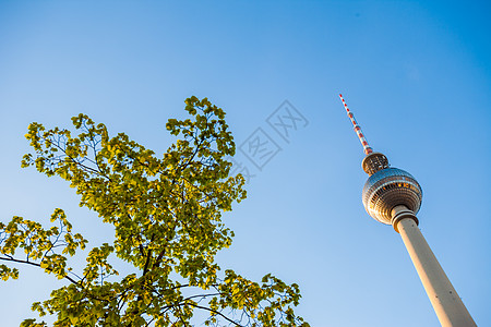 柏林电视塔Fernsehturm电视塔 柏林亚历山大广场晴天天线天空蓝天播送蓝色地标电视太阳城市背景