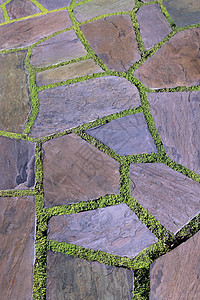 带草的花园石路碎石草皮卵石人行道绿色公园植物岩石通道路线图片