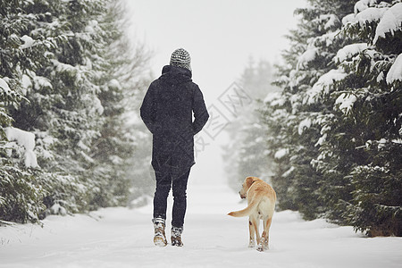 冬季步行季节运动男性休闲友谊暴风雪动物雪片天气小路图片