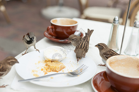 当地咖啡厅食用麻雀图片