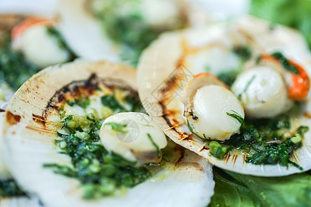 用黄油烤扇贝贝类扇贝草本植物美食营养黄油海鲜美食家水平白色图片