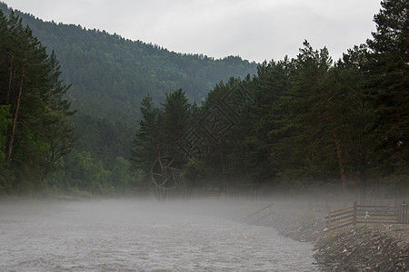 清晨 雾在河边弥漫阳光叶子季节风景蓝色太阳旅行薄雾公园反射图片