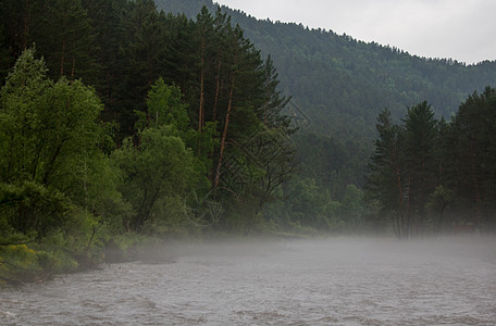 清晨 雾在河边弥漫季节溪流木头自然场景环境太阳岩石阳光公园图片