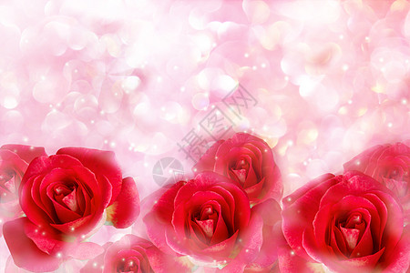 红玫瑰在美妙浪漫的柔软薄贴面上 粉红色珍珠图片