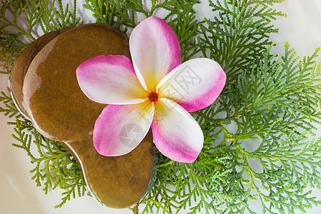 顶端风景freangipani或花朵在石子上和水中图片