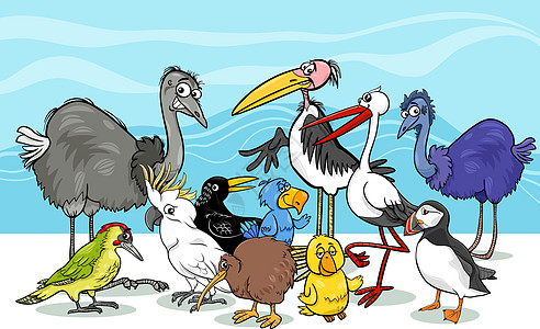 鸟群卡通它制作图案漫画奇异果鹦鹉卡通片鸵鸟啄木鸟动物园乌鸦海雀野生动物图片