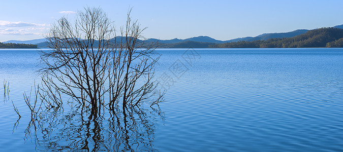 昆士兰的维芬霍湖白天天空蓝色反射黄色绿色图片