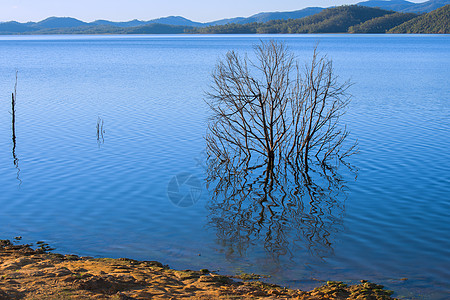 昆士兰的维芬霍湖白天绿色反射黄色蓝色天空图片