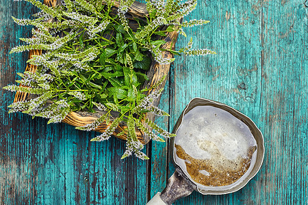 薄药用植物芳香叶子草本荒野薄荷药品治疗香味绿色花束图片