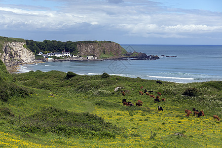 白公园湾巴利卡斯尔北爱尔兰小屋海滩海岸线海岸旅行风景图片