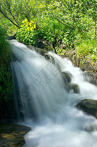 夏天的河山 卡帕西恩山岩石场景森林国家公园旅行溪流水池蓝色海岸图片