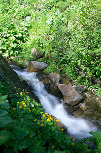 夏天的河山 卡帕西恩山岩石海岸公园森林风景场景国家溪流水池旅行图片