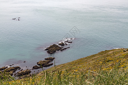 美丽的法国诺曼底海岸线环境晴天稻草海岸旅行悬崖爬坡假期季节公园图片