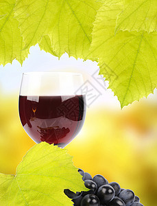 葡萄和酒杯食物宏观玻璃质量酿酒静物栽培浆果酒精藤蔓图片