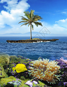 美丽的岛屿 有棕榈树和蓝天的棕榈树天空海滩海浪旅游珊瑚海岸海景棕榈异国情调图片