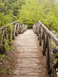 希腊奥林匹斯山脉的木环桥游客农村场景树木日光旅游溪流季节旅行小路图片