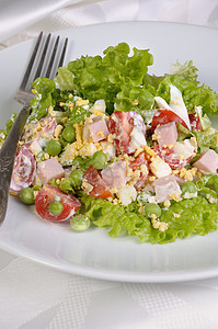 许多成分沙拉西红柿盘子火腿营养地肉汁小菜午餐菜肴时间蛋黄图片